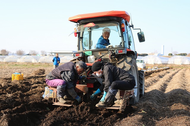 収穫作業の様子