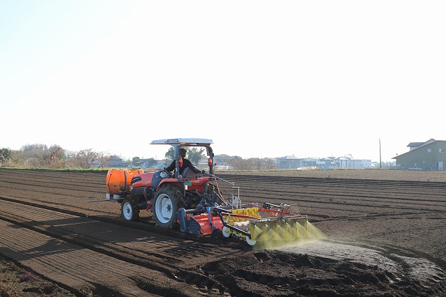 生産_種植え