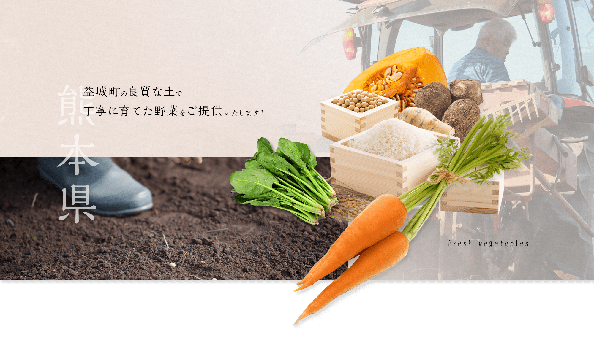 会社概要 農業生産法人 株式会社平井農園 会社概要 農業生産法人 株式会社平井農園